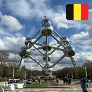 The Atomium, Brussels, Belgium with Flag - Canary Family on Board