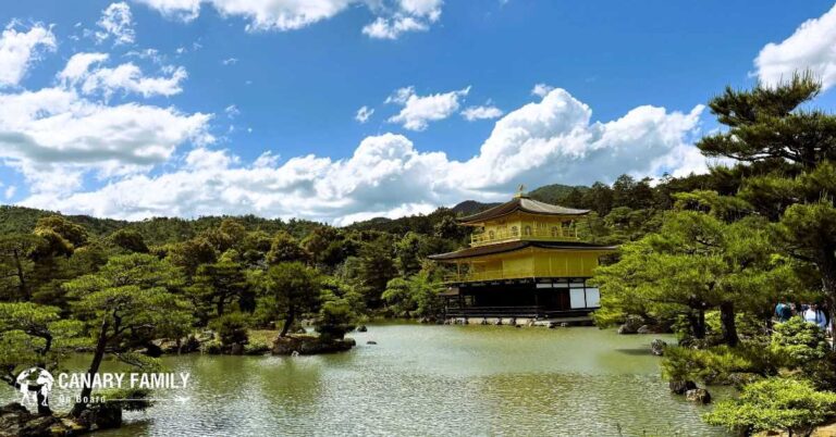 Japan Golden Pavilion Photo - Canary Family on Board - Travel Guide